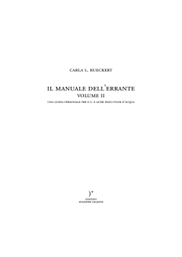 Manuale dell`errante Vol.2_ rev.3.indd