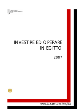 investire ed operare in egitto