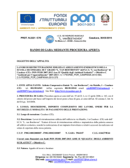 bando di gara mediante procedura aperta “l. van ”