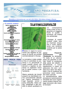 Numero 54 - Agosto 2012