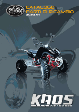 Ricambi - WT Motors