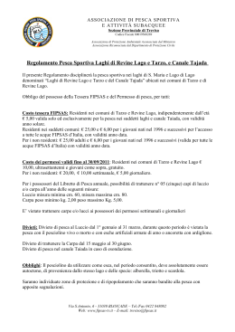 Carta intestata FIPS - Provincia di Treviso