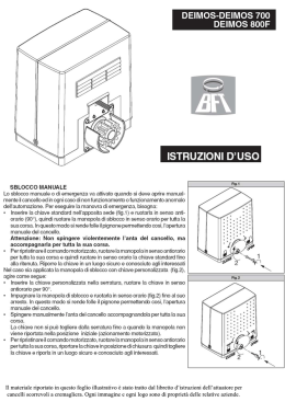 Motore Deimos - Home page Gecon Falcone