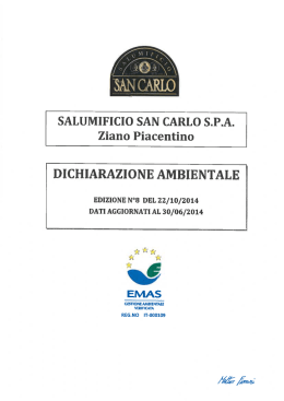 dichiarazione ambientale