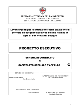 Schema di contratto e capitolato speciale d`appalto [file]