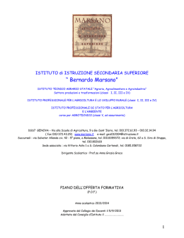 &ldquo; Bernardo Marsano&rdquo;