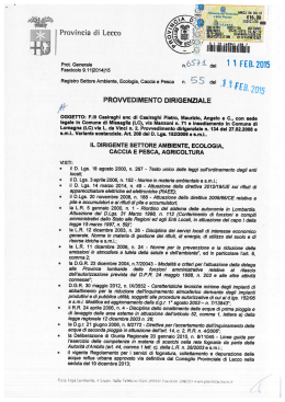 VÌ\EQEM.ENnQMHARCA ma sono