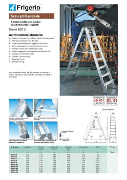 Scheda tecnica scala alluminio 6015 a doppia salita