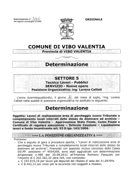 mg - Comune di Vibo Valentia