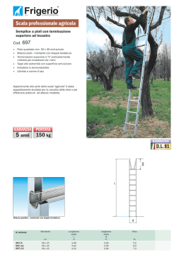 Scala professionale agricola D.L. 81 150 kg