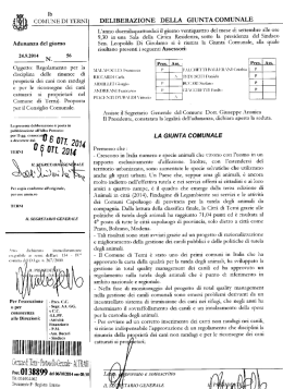 lb COMUNE DI `I`ERNI DELIBERAZIONE DELLA