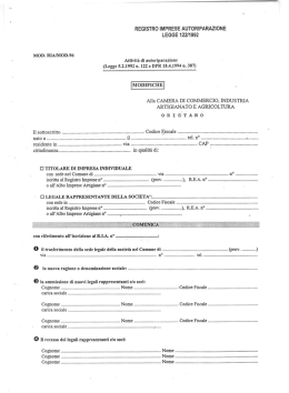 Mod RIA/Mod 96 - Attivit&agrave; di autoriparazione MODIFICHE