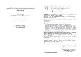 servizio spesa - Provincia di Benevento