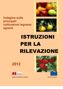 Istruzioni per la rilevazione