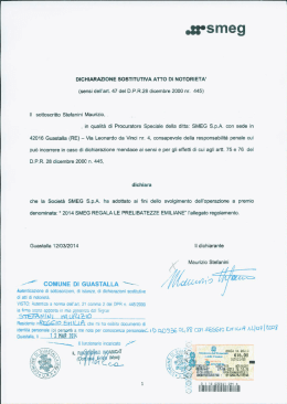 Il sottoscritto Stefanini Maurizio.