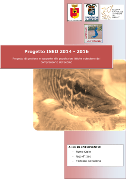 Progetto ISEO 2014