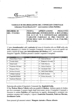 verbale di deliberazione del-consiglio comunale