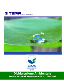 Tera Energy Srl
