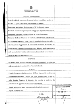 Delega (pdf 831 kB)