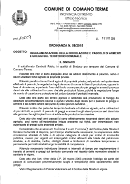 Testo (File