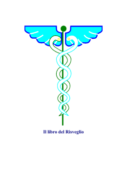 il libro del risveglio